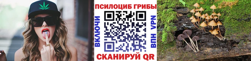 купить наркотик  Алейск  мориарти клад  Псилоцибиновые грибы Psilocybine cubensis  мега как войти 